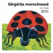 Gargarita Morocanoasa