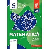 Matematica. Algebra, geometrie. Caiet de lucru. Clasa a VI-a. Initiere. Partea a II-a