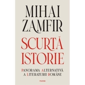 Scurta istorie. Panorama alternativa a literaturii romane