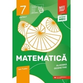 Matematica. Algebra, geometrie. Caiet de lucru. 2023 Clasa a 7-a. Initiere. Partea I