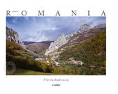 Made in Romania (romana)