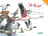 In zbor. Pasarile migratoare