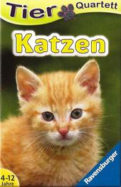 Katzen