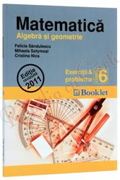 Matematica. Algebra si geometrie. Exercitii si probleme pentru clasa a 6-a