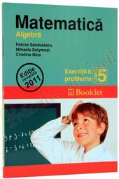 matematica. Algebra. Exercitii si probleme pentru clasa a5-a