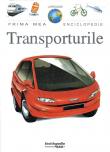 Transporturile