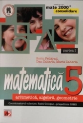 Matematica. Consolidare. Aritmetica, algebra, geometrie. Clasa a 5-a. Partea I
