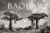 BAOBAB: Meine Reise zu denältesten Lebewesen und Waldwächtern