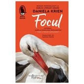 Focul