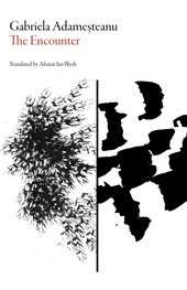 Encounter (Romanian Literature)