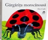 Gargarita morocanoasa