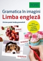 Limba engleza. Gramatica in imagini