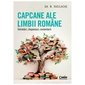 Capcane Ale Limbii Romane. Intrebari, Raspunsuri, Comentarii