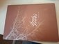 silent roots Mures County