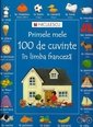 Primele mele 100 de cuvinte in limba franceza