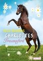 Charlottes Traumpferd, Band 3: Ein unerwarteter Besucher