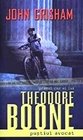 Theodore Boone: Pustiul Avocat